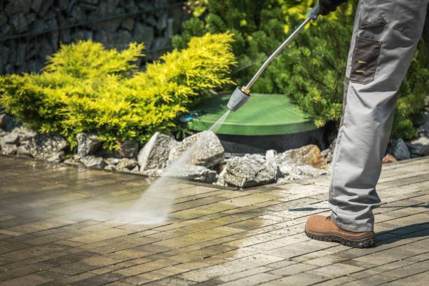 Best Parking Lot and Garage Cleaning  in Covington, KY